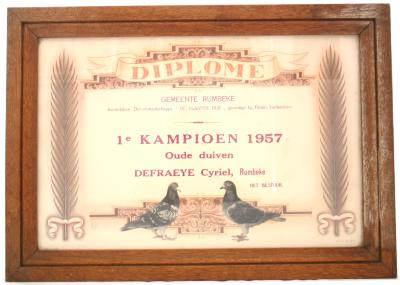 Duivendiploma Cyriel Defraeye, Rumbeke, 1957