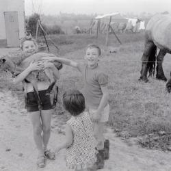 Kinderen op boerderij van M. Geldof, Staden juli 1972