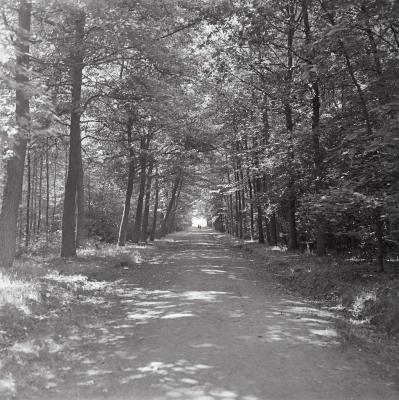 Kasteel en park Sterrebos, Rumbeke 1970