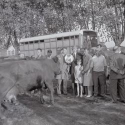 Veeprijskamp, Staden 1969