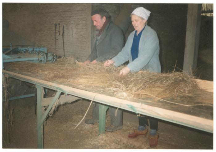 Zwingelen op hoeve Holvoet, Lendelede