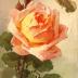 Romantische correspondentie (deel 2), Ingelmunster