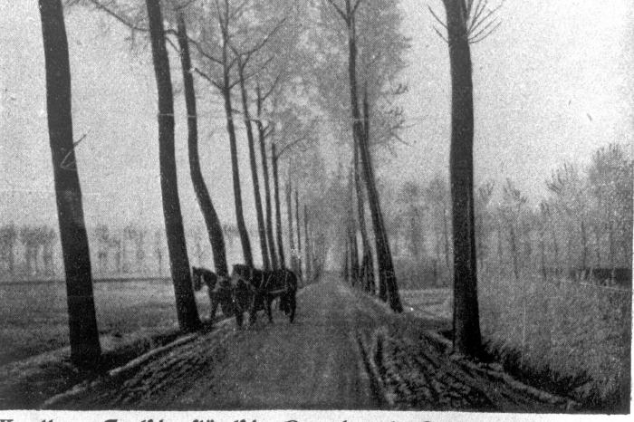 Straatzicht met paarden, Dadizele