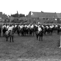 Groep paarden, Izegem 1957