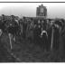 Fotoreportage atletiekwedstrijd: Herman en Leenaerts in actie, Izegem 1957